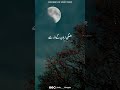 Ek Hadees Mai Aata Hai Islamic WhatsApp Status Urdu Thoughts Status