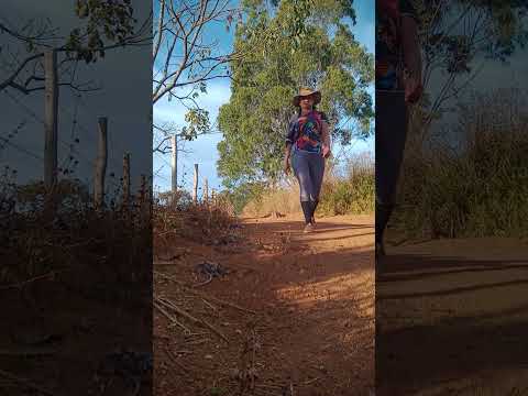 Caminhada sertaneja Comunidade Santa Rita município Vianópolis Goiás Brasil