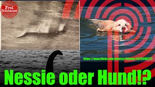 Loch Ness Monster oder Hund!? Die Wahrheit über das erste Foto von Nessie – 92 Jahre später