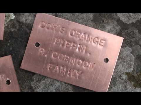 download lagu mp3 mp4 Tree Identification Plates, download lagu Tree Identification Plates gratis, unduh video klip Tree Identification Plates