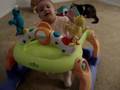 Bella Sesame Street Walker