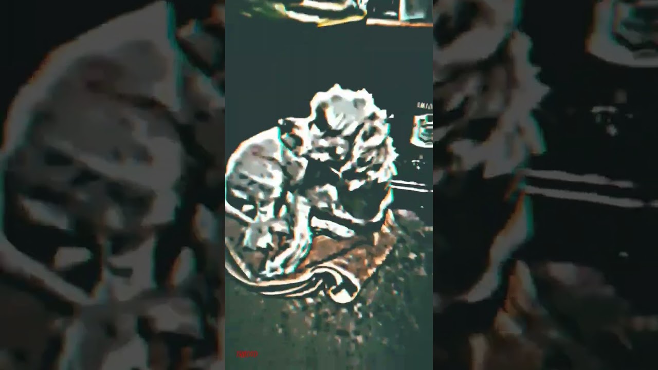 DJ JUDAH - MELODIA ENVOLVENTE 5.0🗿| "ASNO" Edith🥵 #xd