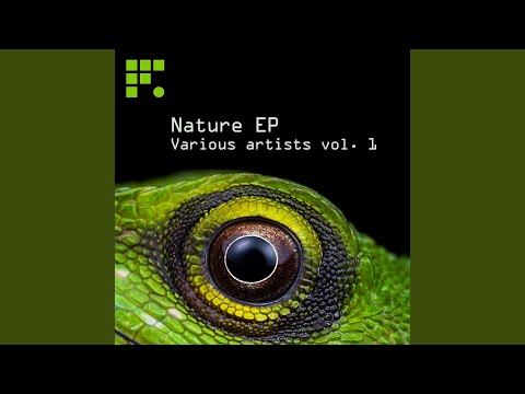 In Void (Original Mix)