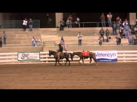 Jim Thomas - Extreme Mustang Makeover - Wounded Warrior Tribute