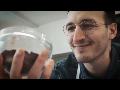 Autocentri Giustozzi