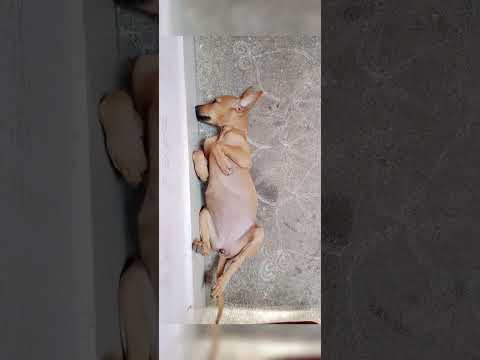 Na mallakatha padupe.