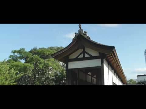 大分城址公園廊下橋-Oita Joshi Park Hallway Bridge-【OITA CITY -the bird view-】
