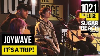 Joywave - It&#39;s a Trip! (Live at the Edge)