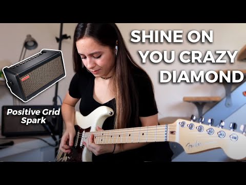 Pink Floyd - Shine On You Crazy Diamond solo (Spark amp)