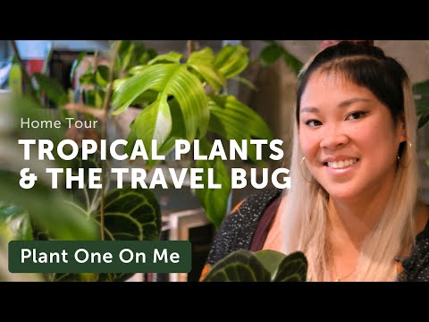 When TRAVEL Inspires Your PLANTS HOME TOUR — Ep. 250