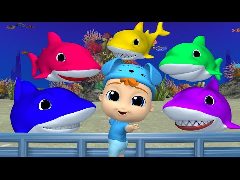 Baby Shark Song | Magic TV Songs for Children