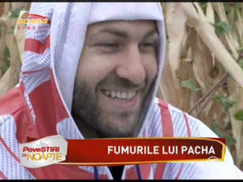 Pacha Man Colabo RMX