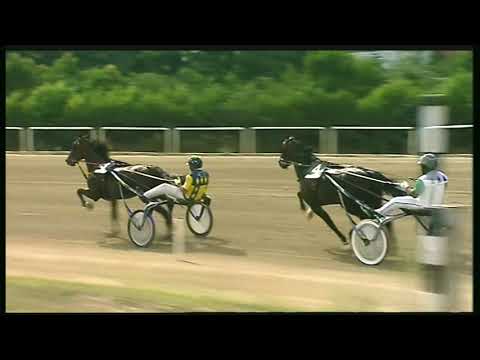 Trotto 11/09/2020 - 2ª corsa