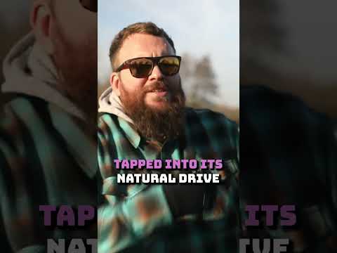 How To Calm Down A Hyper Dog