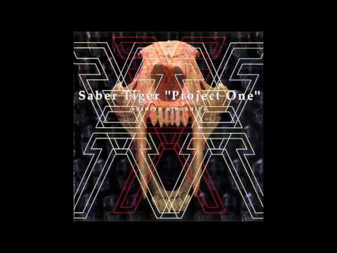 Saber Tiger - Give Me All Your Love Tonight (Akihito K. Solo Guitar)