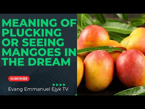 THIS IS THE MEANING OF SEEING MANGOES OR PLUCKING MANGOES IN THE DREAM 🥭🥭🥭🥭