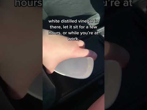 Get Rid of Car Smells Fast