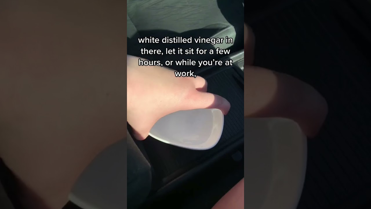 Get Rid of Car Smells Fast