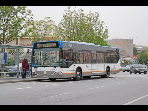 2171 STCP - Mercedes-Benz O530 Salvador Caetano CityGold MB 2KD - Linha / Line 209