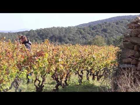 Olivier Fouquet, CIVAM LR