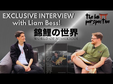 Exclusive Interview: Liam Bess from World of Nishikigoi | Preview of Volume 5 & Niigata Koi Trip