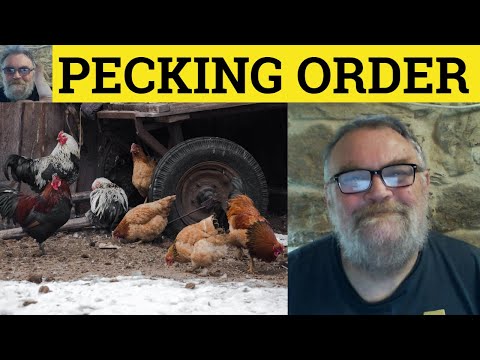 🔵 Pecking Order Meaning - Pecking Order Examples - Pecking Order Definition - Idioms - Pecking Order