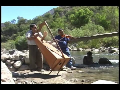 RADIANTES DE SARA SARA  -  Yerbabuenita