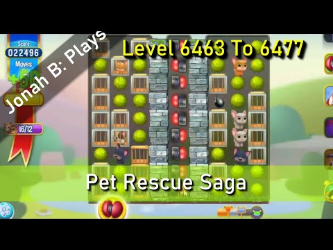 Pet Rescue Saga Level 6463 To 6477