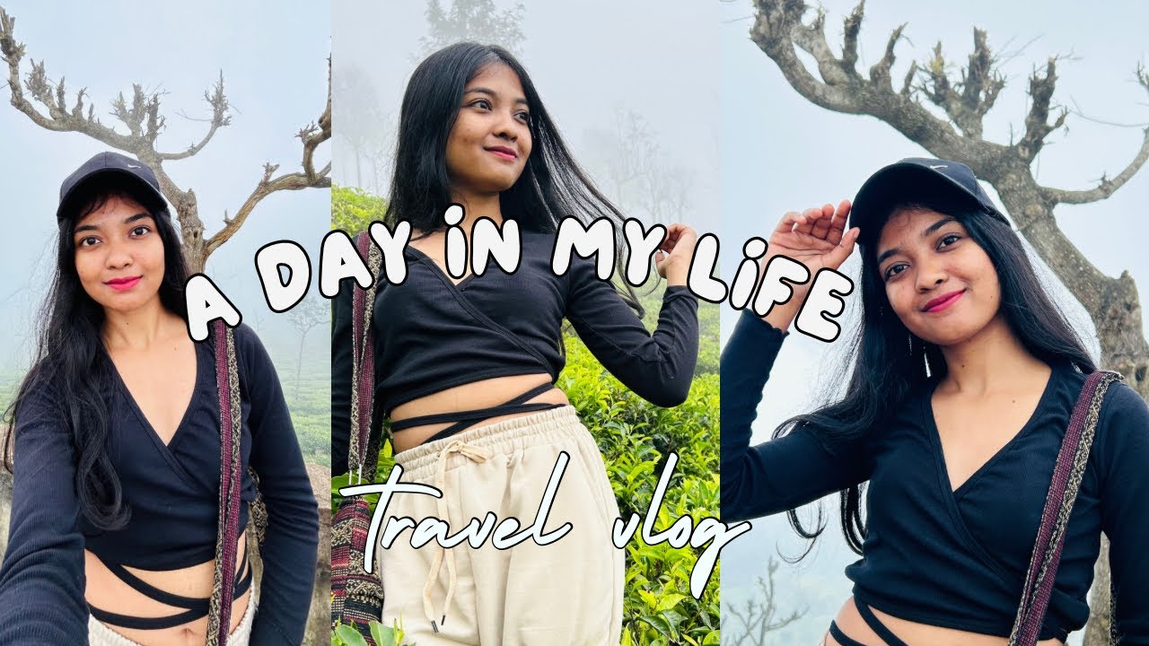 Tea Garden 😍 in Coonoor