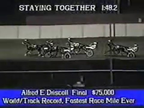 1993 Meadowlands  Driscoll Staying Together