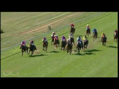 20210331 Hollywoodbets Scottsville express clip Race 3 won by CAMORA