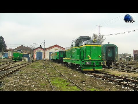 LDE1250 69-0005-9 & Activitate Feroviară/Rail Activity in Gara Oravița Station - 14 February 2019