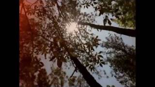 Goldfrapp - Yellow Halo (Official Video) HD LYRICS