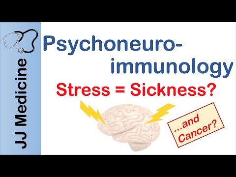 Psychoneuroimmunology How Stress and Depression Make You Sick