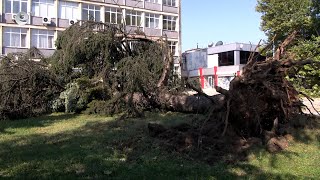 Силна буря вилня в Харманли и нанесе сериозни материални щети
