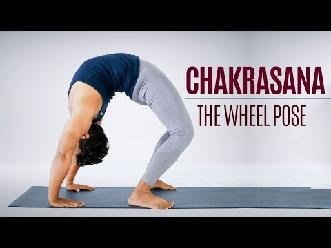 Chakrasana | Wheel Pose | Urdhva Dhanurasana | How to Do | Benefits | The  Art of Living India