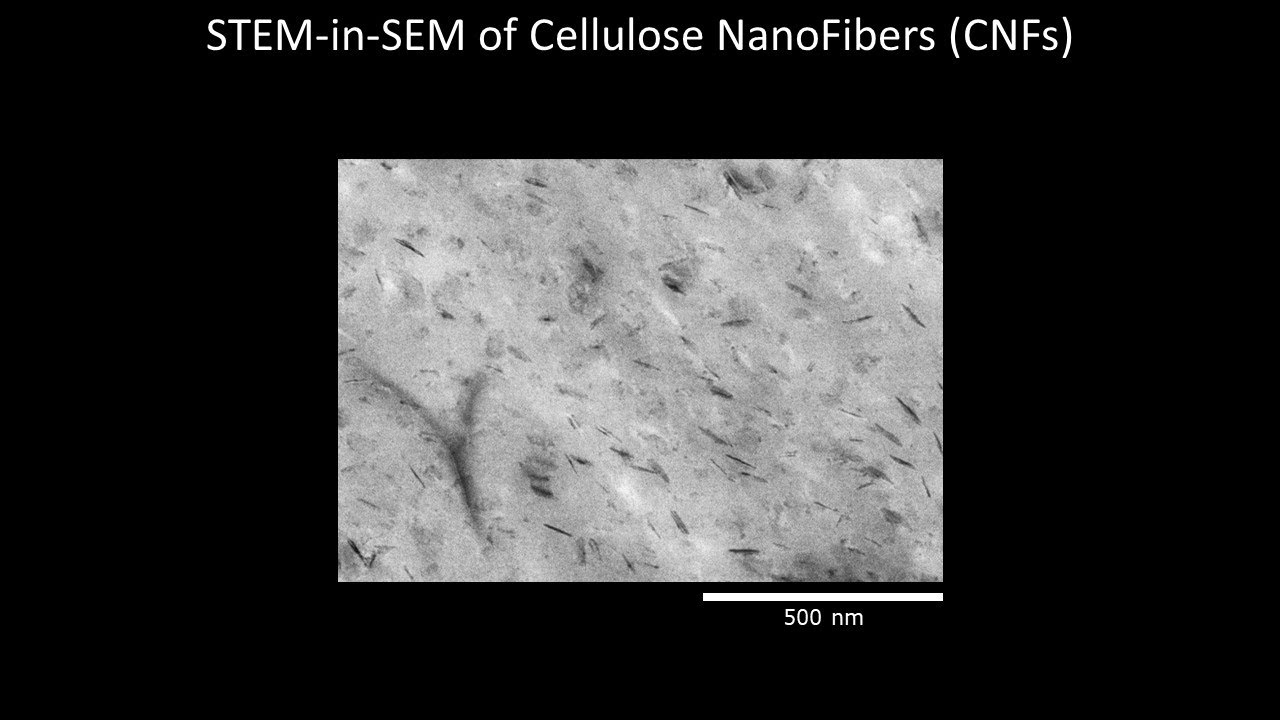 [Materials] STEM-in-SEM of Cellulose NanoFibers (CNFs)