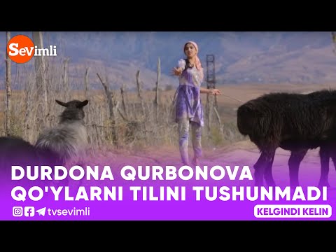DURDONA QURBONOVA QO'YLARNI TILINI TUSHUNMADI😂😂😅 #Kelgindikelin