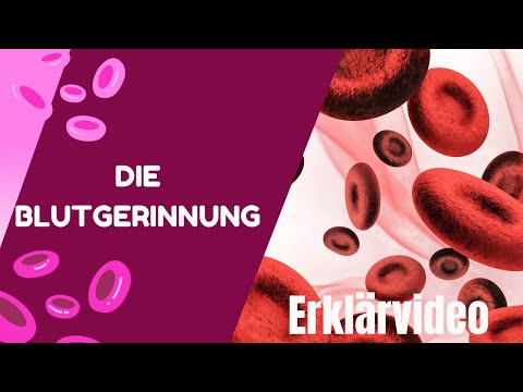 Erklärvideo - Blutgerinnung