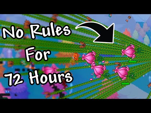 I Hosted a Terraria Server With NO RULES For 72 Hours...