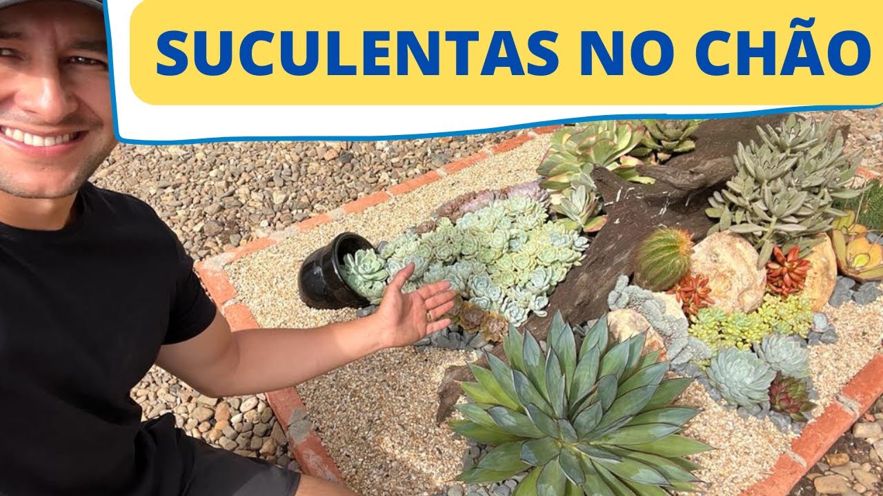 COMO FAZER UM JARDIM DE SUCULENTAS 🍀