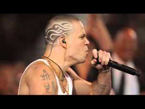 Tocarte Toda - Calle 13
