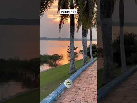 Maués/ Amazonas #terradoguaraná