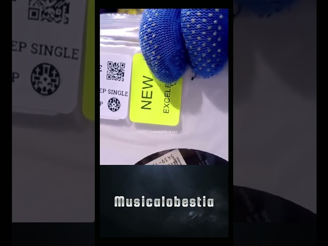 Vídeo relacionado con Pegatinas de Banda de Rock, 100 Piezas Pegatinas de Rock and Roll, Vinilo Cool Metal Punk Música Pegatina, Paquete Clásico de Rock, para Laptop Skateboard Bicicleta Guitarras Equipaje Coche