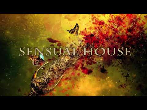 ♫ Deep Progressive House Mix 2020 - by ROK Vol. #1♫