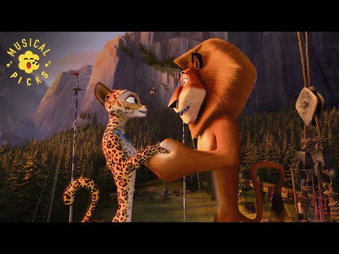 "Love Always Comes as a Surprise" Alex and Gia's Chemistry Ignites | Madagascar 3