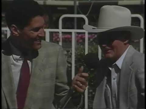 1994 Bay Meadows Budweiser Breeders' Cup Handicap: Soviet Problem