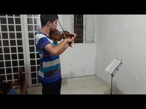 violino rolim millor