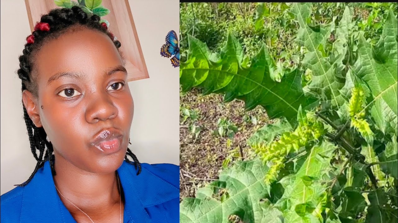 Nywe ekyikopo kimu ozine omukazi omukira taguwa