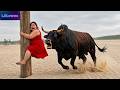 Try Not To Laugh Challenge 😂 100 Funniest Clips Ever 🤣 Best Fails 2026 #30
